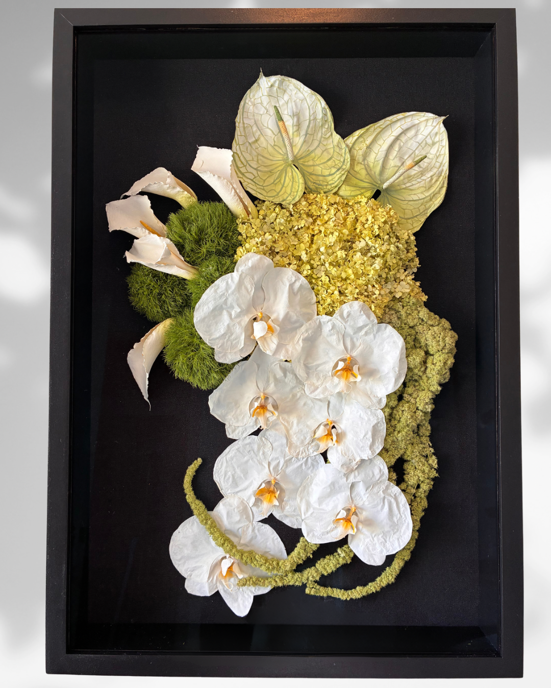 Copy of Untitled Design